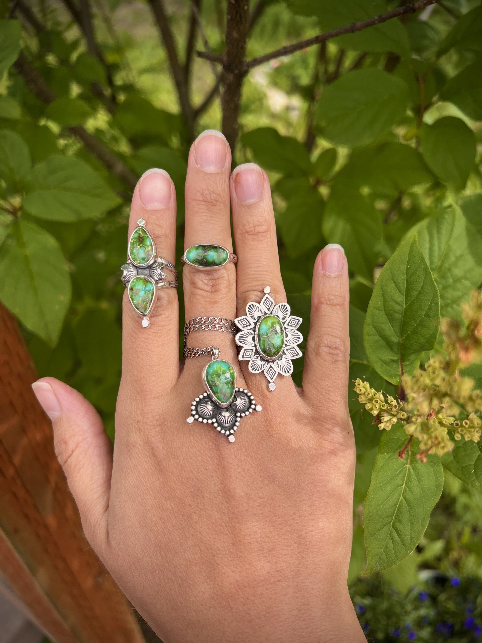 Sonoran Gold Collection